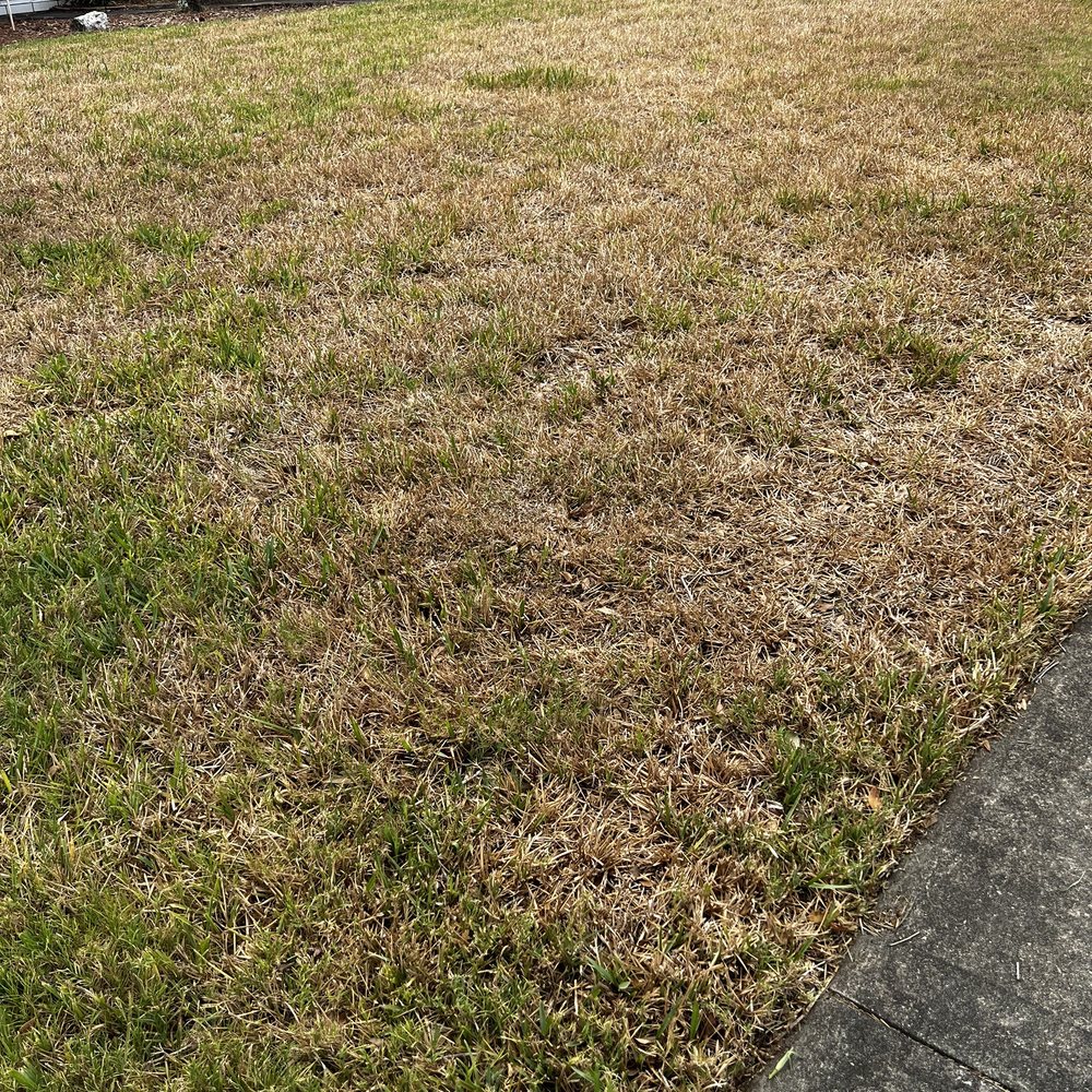 Spectrum - THEIR SLOPPINESS RUINED THE LAWN. No irrigation possible - Internet Service Providers Near Me - Clearwater, Florida Spectrum - THEIR SLOPPINESS RUINED THE LAWN. No irrigation possible - Internet Service Providers Near Me - Clearwater, Florida