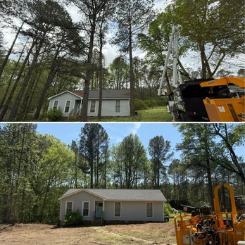 TSR Tree Service - Tree Services Near Me TSR Tree Service - Tree Services Near Me