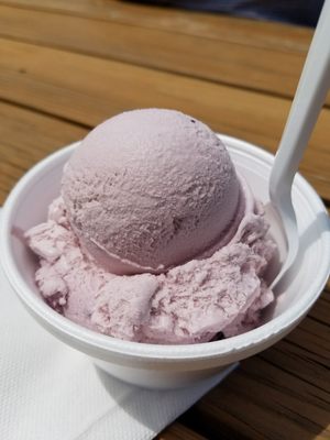 Butterfield's Ice Cream by null