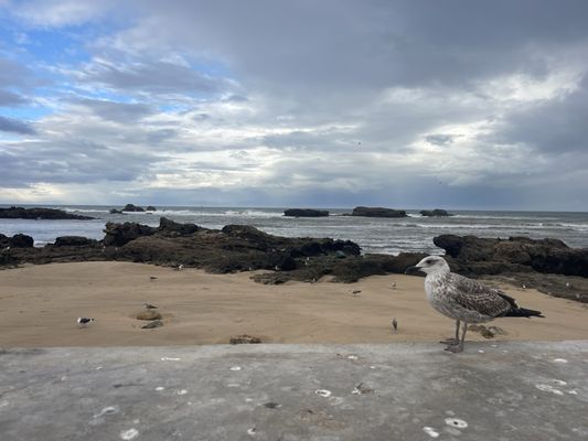 Intrepid Travel by null