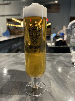 Skyland Ale Works by null