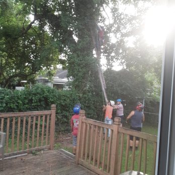 Bishops Tree Service - Guys doing Prep work - Tree Services Near Me - Virginia Beach, Virginia Bishops Tree Service - Guys doing Prep work - Tree Services Near Me - Virginia Beach, Virginia