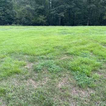 Weed Man - Lawn Services Near Me - Winchester, Virginia Weed Man - Lawn Services Near Me - Winchester, Virginia