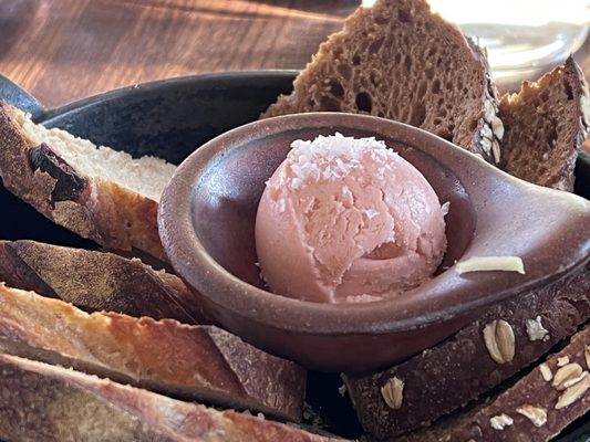 Oystercatcher by null