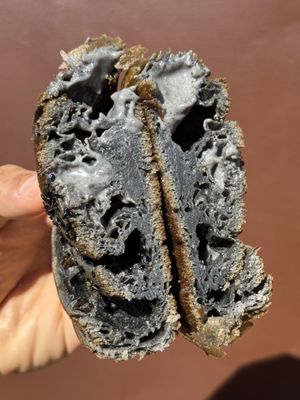 Paloma the Bakery by null