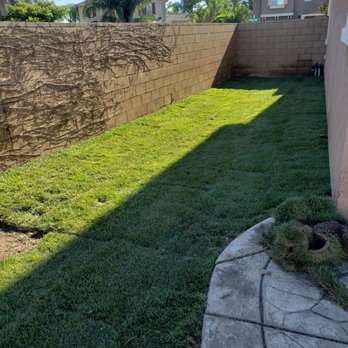 Bernabe Tree Service - Tree Services Near Me - Riverside, California