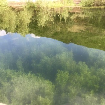 Lake Poway Park - Parks Near Me - Poway, California