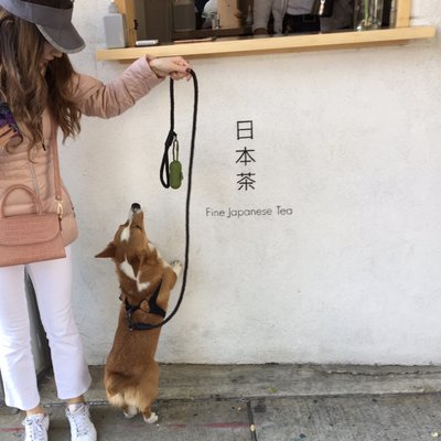 Kettl Tea - Bowery by null