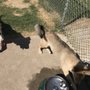 Photo of Bark Park