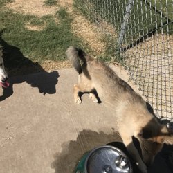 Bark Park