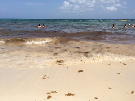 Grand Hyatt Playa del Carmen Resort by null