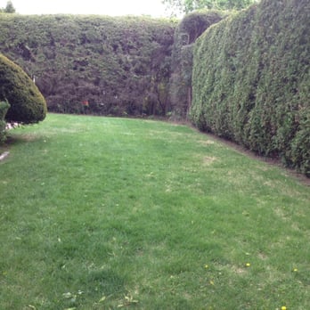Collins and Sons Landscaping - a lawn and a hedge - Landscaping Near Me - Swampscott, Massachusetts Collins and Sons Landscaping - a lawn and a hedge - Landscaping Near Me - Swampscott, Massachusetts