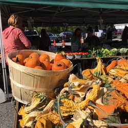 Just Like Baba's Perogies - Fresh fall harvest