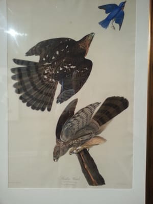 Oglethorpe University Museum of Art by null