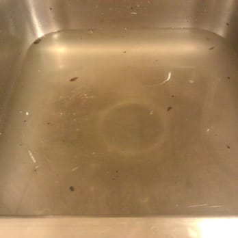 Statewide Enterprises - Smelly water coming up from our sink that was never fixed - Property Management Near Me - Los Angeles, California Statewide Enterprises - Smelly water coming up from our sink that was never fixed - Property Management Near Me - Los Angeles, California
