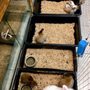 Photo of Animal Ark Pet Stores