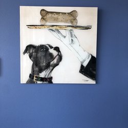 Trans-fur-mations Pet Salon & Boutique - TransFURmation's caters to its clients. Love their artwork.