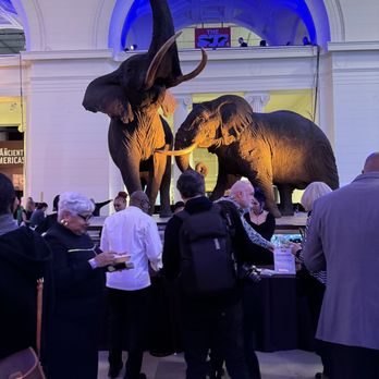 Field Museum - Museums Near Me - Chicago, Illinois