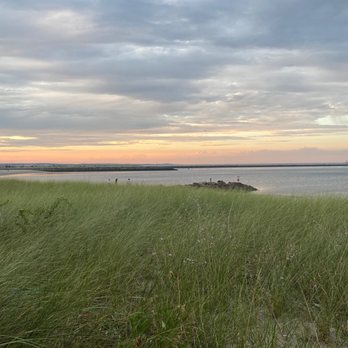 Tree House Brewing - View - Brewpubs Near Me - Sandwich, Massachusetts