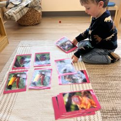 Sprouts Montessori Preschool