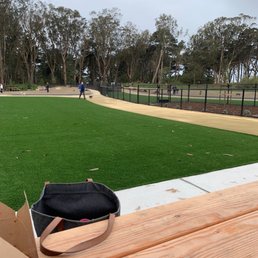 Golden Gate Park Dog Training Area: Unleash Your Pup's Potential