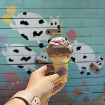 Beaches N Cream - Chocolate Peanut Butter Cone - Ice Cream & Frozen Yogurt Near Me - Supply, North Carolina Beaches N Cream - Chocolate Peanut Butter Cone - Ice Cream & Frozen Yogurt Near Me - Supply, North Carolina