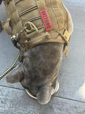 Trillium Café by null