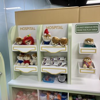 Tiny Tiger - Vet hospital for doggies - Indoor Playcenter Near Me - San Diego, California