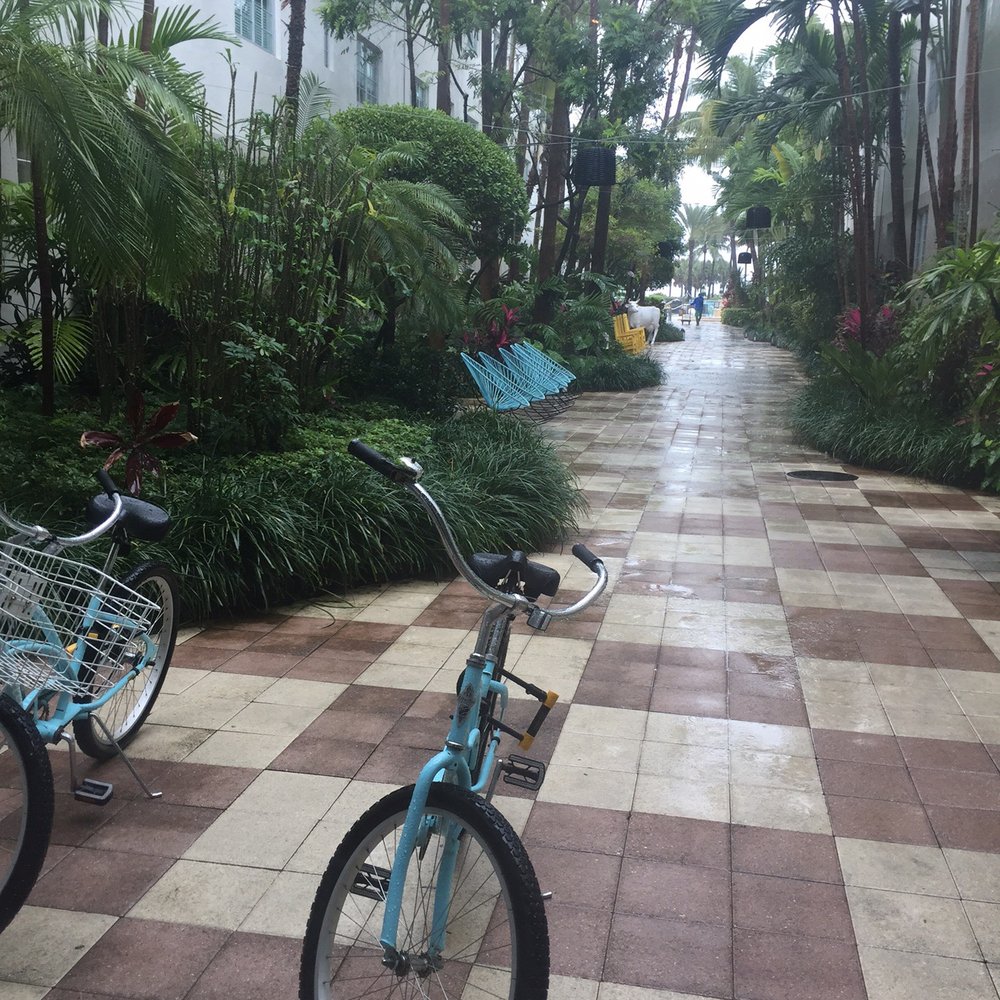 Kimpton Surfcomber Hotel - Inside the hotel - Hotels Near Me - Miami Beach, Florida