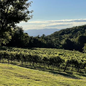 Terra Incognita Vineyard - a vineyard in the distance - Venues & Event Spaces Near Me - Clarkesville, Georgia