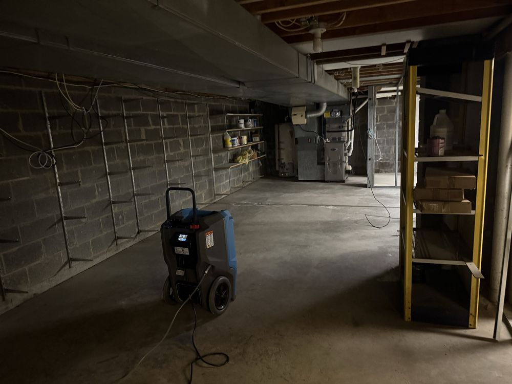 Anytime Remediation - mold inspector in Marlboro, NJ