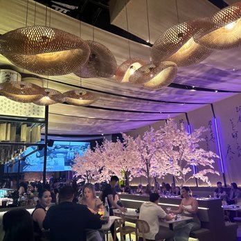 Paperfish Sushi - Sushi Bars Near Me - Miami, Florida Paperfish Sushi - Sushi Bars Near Me - Miami, Florida
