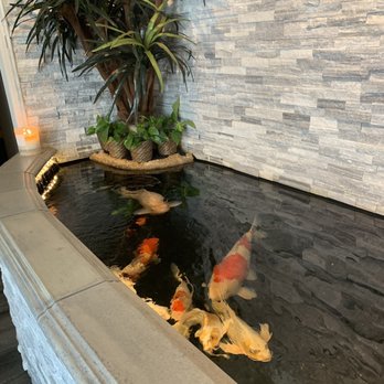 Spatacular - Fishies! - Massage Near Me - Orange, California Spatacular - Fishies! - Massage Near Me - Orange, California