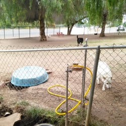 Loma Linda Dog Park