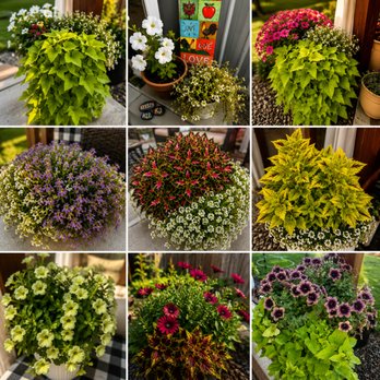 Alderbrook Gardens - Nurseries & Gardening Near Me - Dayton, Oregon Alderbrook Gardens - Nurseries & Gardening Near Me - Dayton, Oregon