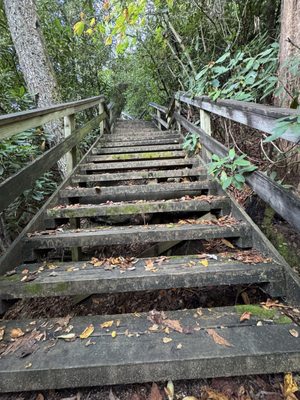 Black Rock Mountain State Park by null