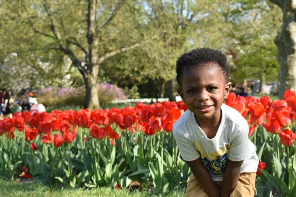 Sherwood Gardens by null
