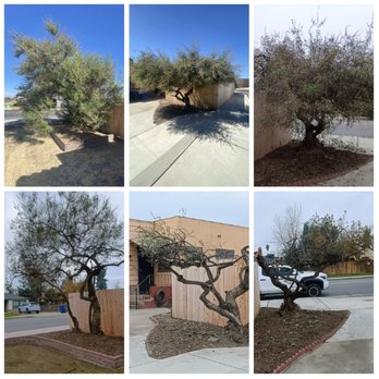 Melena's Complete Landscape - Landscaping Near Me Melena's Complete Landscape - Landscaping Near Me