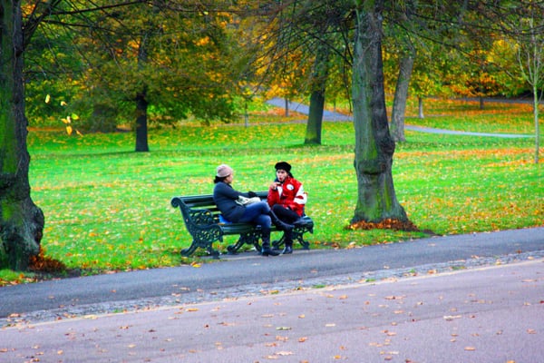 Greenwich Park by null