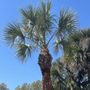 Photo of Pride Tree Service
