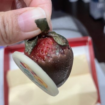 Edible Arrangements - Mold - Gift Shops Near Me - Brentwood, California