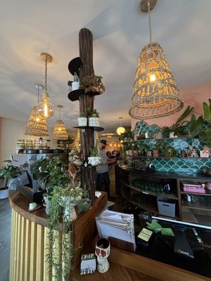 Contento Cafe by null