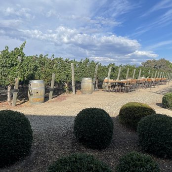 Grapeline Wine Tours - Wine Tours Near Me
