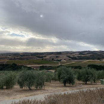Kiler Ridge Olive Oil - Beautiful views - Olive Oil Near Me - Paso Robles, California