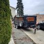 Photo of Junkbox Dumpster Rental