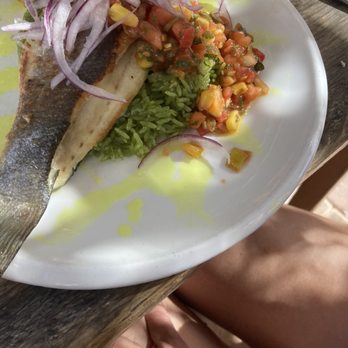 Fiorito - Corvina a la plancha . corvina fish / arugula / tomato escabeche / caramelized lemon - Argentine Near Me - Miami, Florida