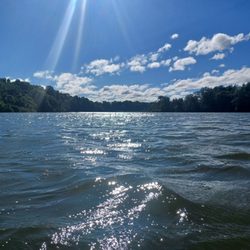 Speedwell Forge County Park - Sailing... Takes me away to where I've always heard it could be. Just a dream and the wind to carry me...