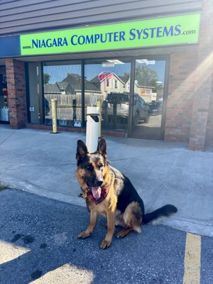 NIAGARA COMPUTER SYSTEMS - Updated January 2026 - Request a Quote ...