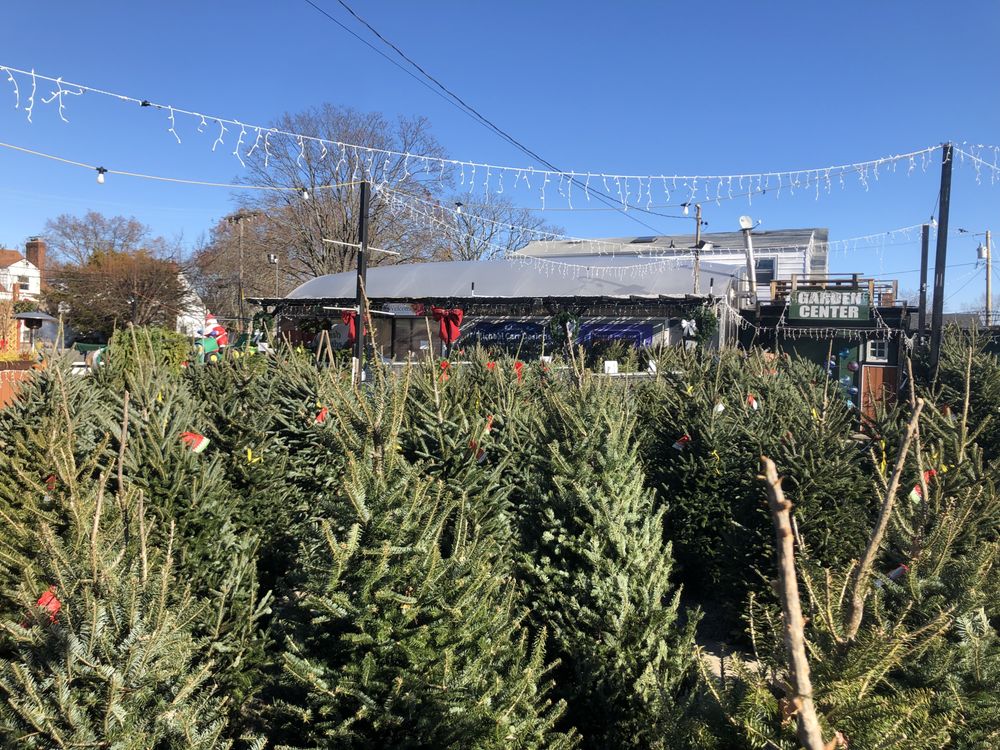 THE GARDENERS MARKET Updated October 2024 123 Photos 124 Nassau Blvd S, West Hempstead