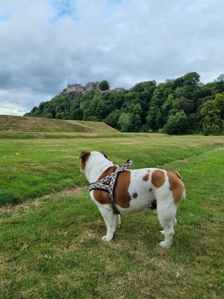 KINGS KNOT 13 Photos Dumbarton Rd, Stirling, United Kingdom Parks Yelp